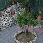 Kiki Stegna *